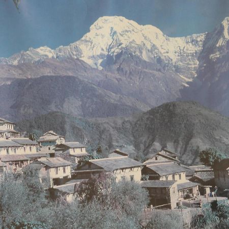 Mount Annapurna Guest House Catmandu Exterior foto